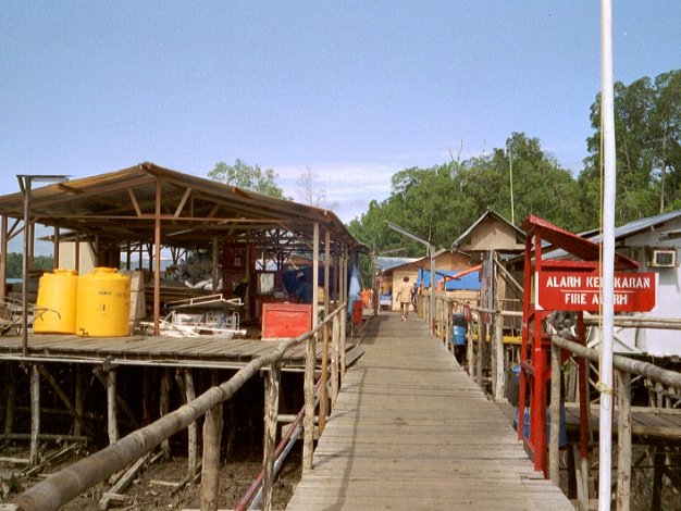 Mumusi base camp