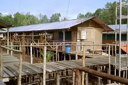 Photos Indonesie - Veronique Larue- photos de sa part/Mumusi base camp - ${label} ${