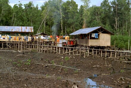 Photos Indonesie - Veronique Larue- photos de sa part/Mumusi base camp - ${label} ${